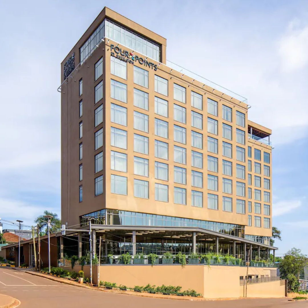 Untitled design – 2025-09-11T193925.825